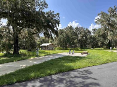 Shaded road under Spanish moss at Peace River Oaks, Bowling Green, Florida