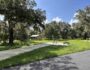 Shaded road under Spanish moss at Peace River Oaks, Bowling Green, Florida