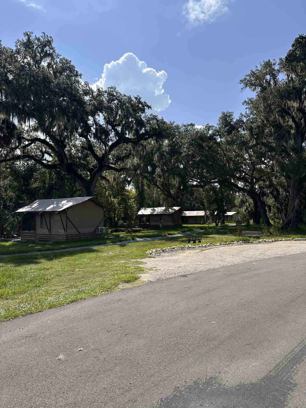 Glamping tents under live oaks along the river at Peace River Oaks, Bowling Green, Florida